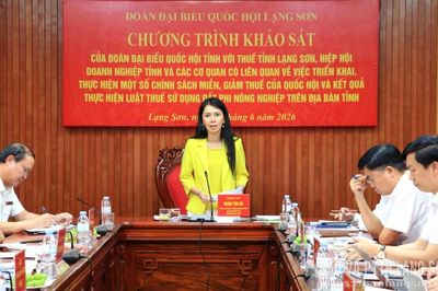 Đoàn đại biểu Quốc hội tỉnh khảo sát việc triển khai một số chính sách thuế