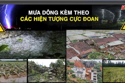 Dự báo thời tiết ngày 18/6