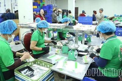 Đồng bộ các giải pháp nâng cao giá trị sản xuất nông nghiệp