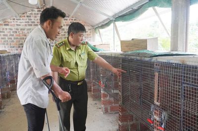 Triển vọng từ mô hình phát triển kinh tế