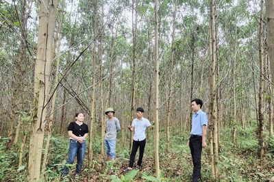 Điểm sáng mô hình giảm nghèo bền vững