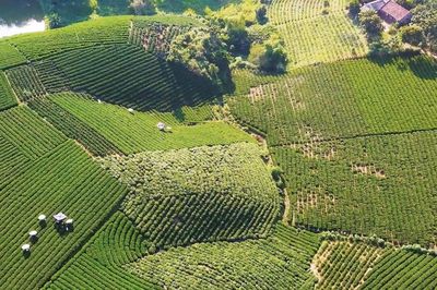 Thái Nguyên: Phát triển kinh tế tập thể, hợp tác xã theo mô hình xanh, số, tuần hoàn