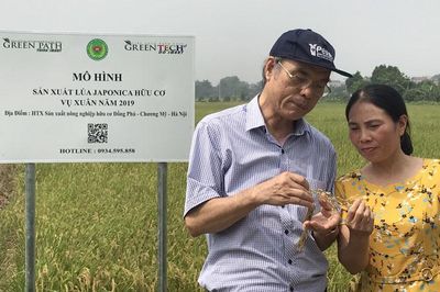 Những cái bắt tay nâng tầm thương hiệu gạo hữu cơ Đồng Phú