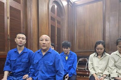 Mua bán trẻ em, Việt kiều Mỹ và đồng phạm lãnh án