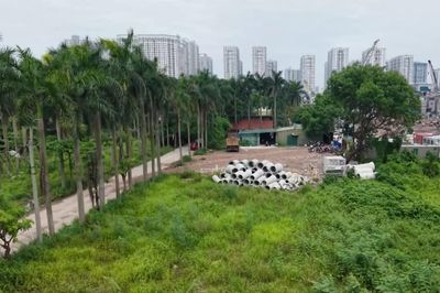 Bao giờ khu sinh thái Vĩnh Hưng hồi sinh?