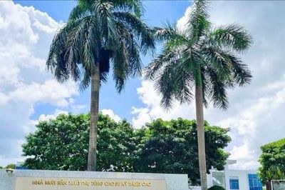 Sát ngày họp, Cao su Thống Nhất (TNC) bất ngờ thông báo hoãn ĐHĐCĐ thường niên 2026