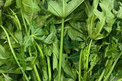 Cây mọc bờ rào 'ngọt như mì chính', trồng một lần hái bán quanh năm, thành đặc sản nổi tiếng tốt cho sức khỏe