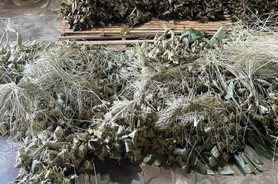 Phát hiện cơ sở sản xuất bánh ú tro trộn chất cấm chuẩn bị bán Tết Đoan Ngọ: Công an thu giữ 3.000 thành phẩm