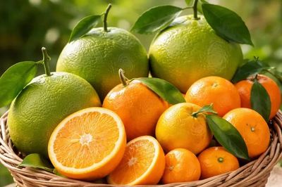 Quả cam hay quýt mới giàu vitamin C hơn?