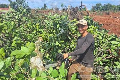 Người dân chặt hạ cây trồng, bàn giao mặt bằng cho cao tốc Quy Nhơn – Pleiku