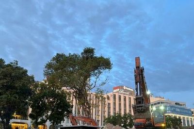 Áp lực từ những đại công trường