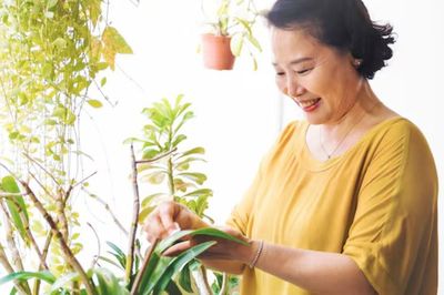 6 thói quen đơn giản giúp người trên 60 tuổi sống thọ