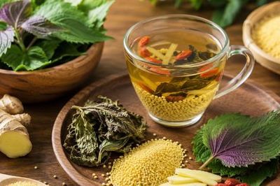Công thức trà tía tô dưỡng sinh hỗ trợ tỳ vị trong mùa hè