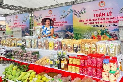Quảng bá nông sản và thực phẩm an toàn Sơn La tại Hải Phòng