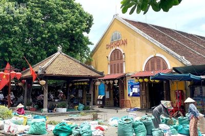 Mùa lá mồng 5 về giữa góc chợ phố cổ Hội An