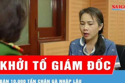 Khởi tố giám đốc bán 10.000 tấn chân gà nhập lậu