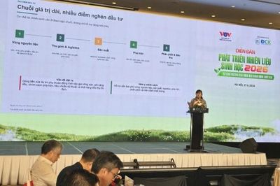 E10 và bài toán tài chính cho ngành nhiên liệu sinh học