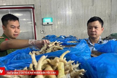 Khởi tố nữ Giám đốc buôn lậu hàng nghìn tấn chân gà 'bẩn'