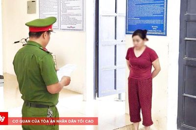 Giao tiền dưỡng già cho cháu, bị chiếm đoạt 800 triệu