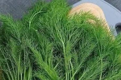 Loại rau gia vị bán đầy chợ ngừa trầm cảm, giảm đau bụng kinh