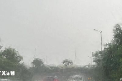 Thời tiết ngày 19/6: Bắc Bộ có nơi mưa trên 100mm, biển động trên diện rộng