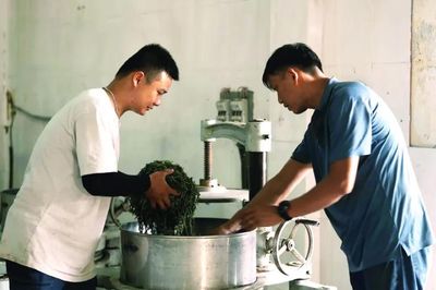 Mạch dẫn đưa khoa học công nghệ vào cuộc sống