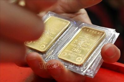 Thị trường vàng và bài học về tâm lý đầu tư theo phong trào