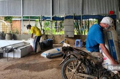 Giá mủ vượt mốc 540 đồng/độ, người trồng cao su kỳ vọng khởi sắc