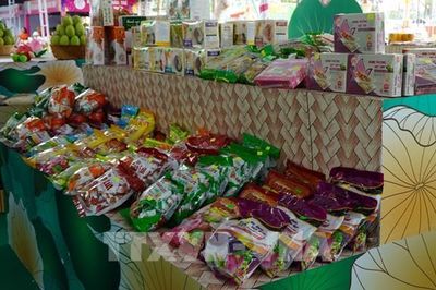 Đất Sen Hồng và hành trình viết câu chuyện kinh tế cho loài hoa