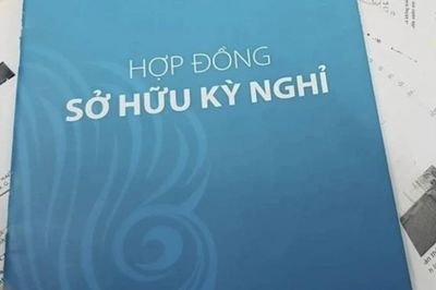 Sở hữu kỳ nghỉ: Doanh nghiệp không thể phủi bỏ trách nhiệm bằng cách đổ lỗi cho nhân viên