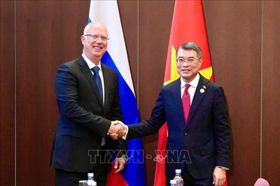 Việt Nam tạo điều kiện thuận lợi để Quỹ Đầu tư trực tiếp Nga mở rộng hợp tác