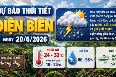 Bản tin Dự báo thời tiết ngày 20/6/2026