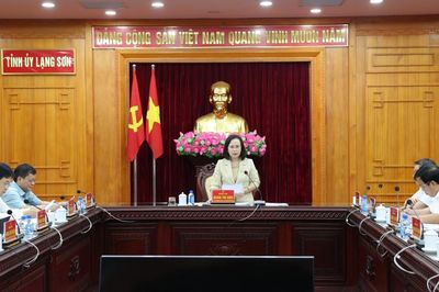 Đánh giá kết quả hoạt động của 3 ban chỉ đạo cấp tỉnh