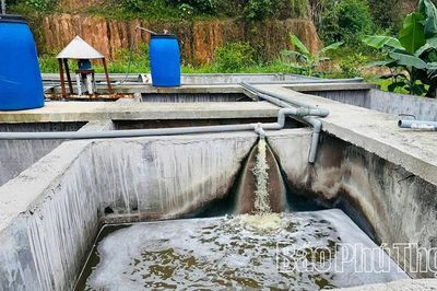 Đông Thành xử phạt doanh nghiệp chăn nuôi xả thải trái phép