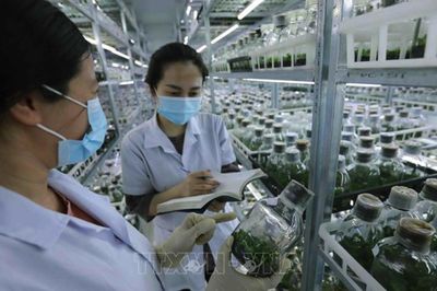 Tổ chức vi phạm về sản xuất, buôn bán giống cây trồng bị phạt đến 100 triệu đồng
