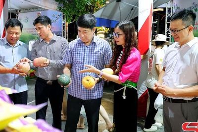 Khai mạc Tuần lễ nông sản và thực phẩm an toàn tỉnh Sơn La tại Hải Phòng năm 2026