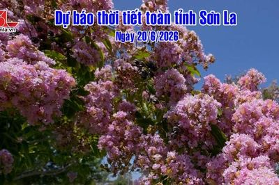 Dự báo thời tiết toàn tỉnh Sơn La ngày 20/6/2026