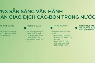 VNX sẵn sàng đưa sàn giao dịch các-bon trong nước vào vận hành