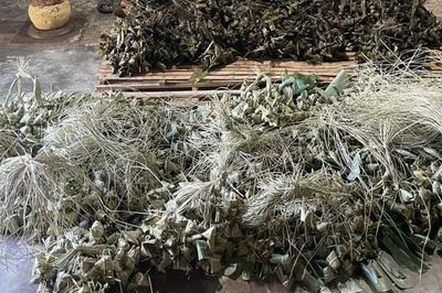 Đà Nẵng phát hiện cơ sở dùng chất cấm khi làm bánh ú tro