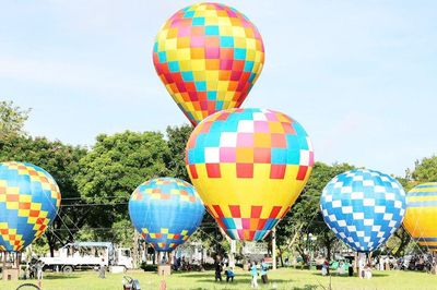 Đồng Tháp: Lễ hội Sen lần thứ III năm 2026 với nhiều hoạt động đặc sắc