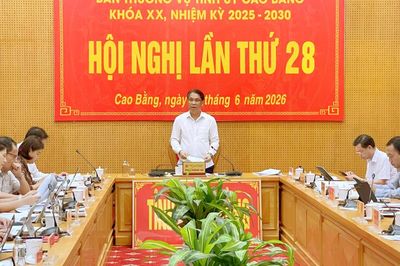 Hội nghị lần thứ 28 Ban Thường vụ Tỉnh ủy khóa XX, nhiệm kỳ 2025 - 2030