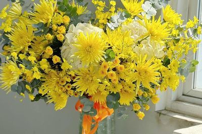 Hoa cúc vàng mang ý nghĩa gì mà được chuộng quanh năm? Không chỉ là may mắn, còn một điều ít ai biết