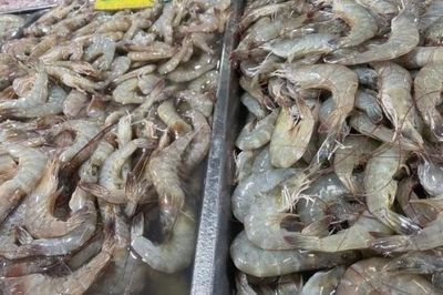 Tranh chấp thủy sản giữa Malaysia và Thái Lan sắp được tháo gỡ?