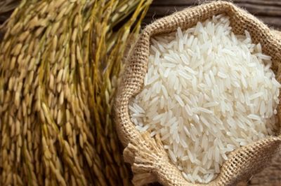 Giá lúa gạo hôm nay 19/6: Trong nước ổn định, xuất khẩu tăng nhẹ