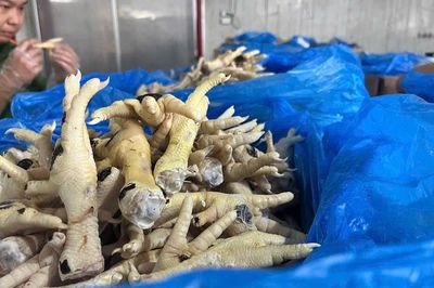 Khởi tố vụ buôn lậu hơn 10.000 tấn chân gà đông lạnh, thu giữ trên 2.000 tấn hàng hóa