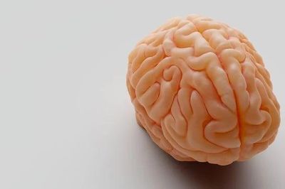 4 bí quyết cho sức khỏe não bộ