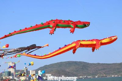 Xem cá sấu dài hơn 30m bay lượn ở biển Quy Nhơn