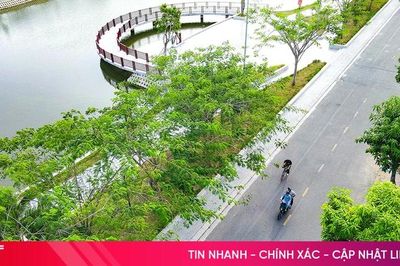 Những khoảng xanh giữa ngày hè