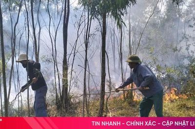 Kịp thời dập tắt đám cháy rừng ở Hồng Lộc