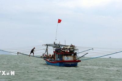 Bão Mekhala tiếp tục mạnh lên nhưng không di chuyển vào Biển Đông